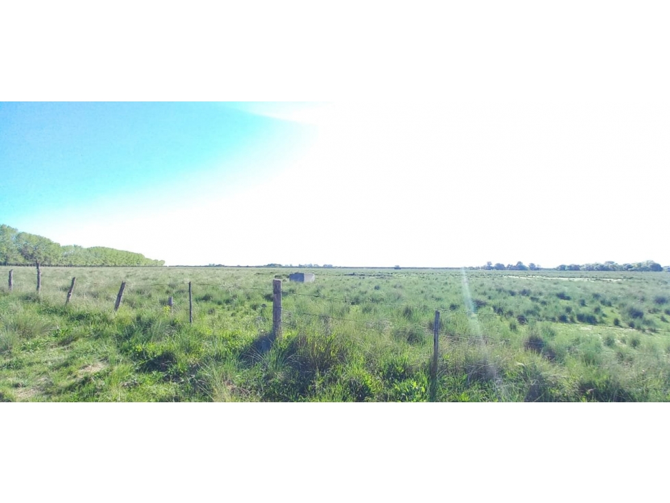 terreno en venta de 2646 m2 mariano acosta - 4