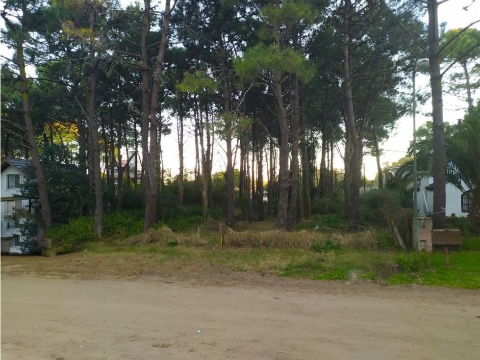 LOTE MULTIFAMILIAR