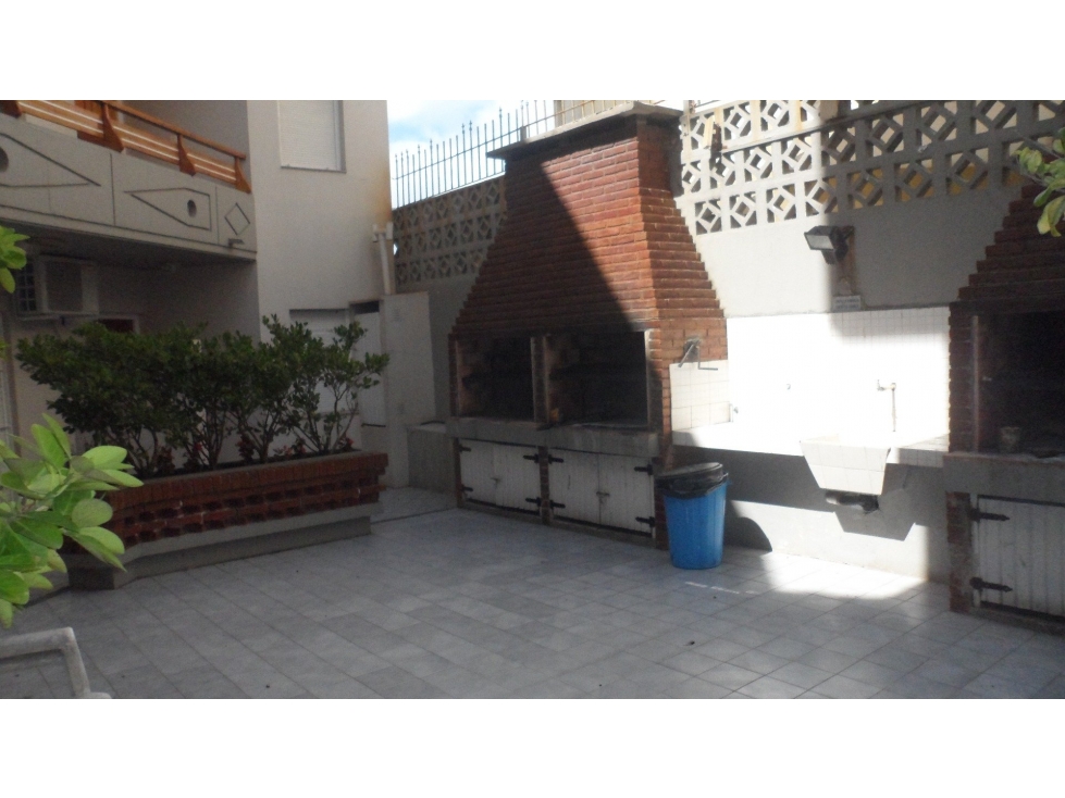 Palmeras IX Nº 30 — foto 3