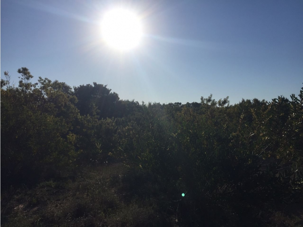 SENDEROS IV 423 - COSTA ESMERALDA - LOTE EN VENTA. - 3