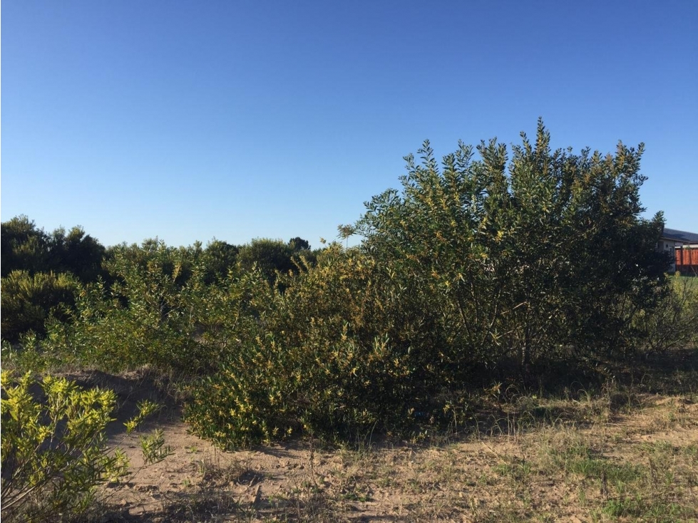 SENDEROS IV 423 - COSTA ESMERALDA - LOTE EN VENTA. - 1