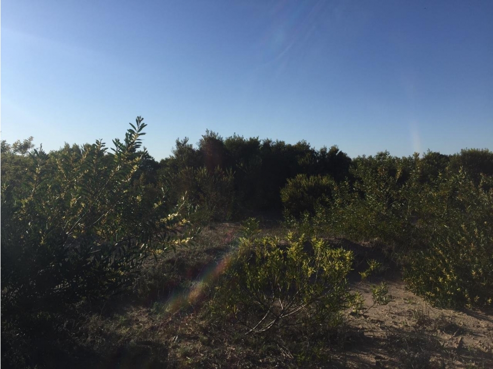 SENDEROS IV 423 - COSTA ESMERALDA - LOTE EN VENTA. - 4