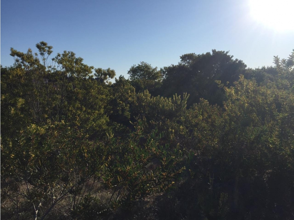SENDEROS IV 423 - COSTA ESMERALDA - LOTE EN VENTA. - 6