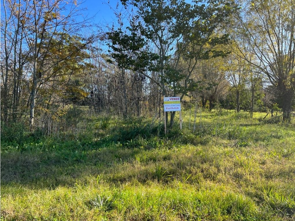Vendo Terreno de 2.228 M2 en Herrera, Entre Ríos. - 3