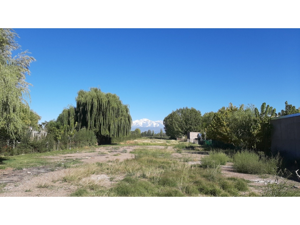 Terreno Sobre Acceso Sur en Perdriel - Lujan de Cuyo - 3