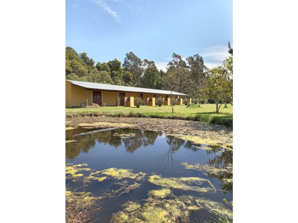 COMPLEJO DE CABANAS EN VENTA MIRAMAR - 5