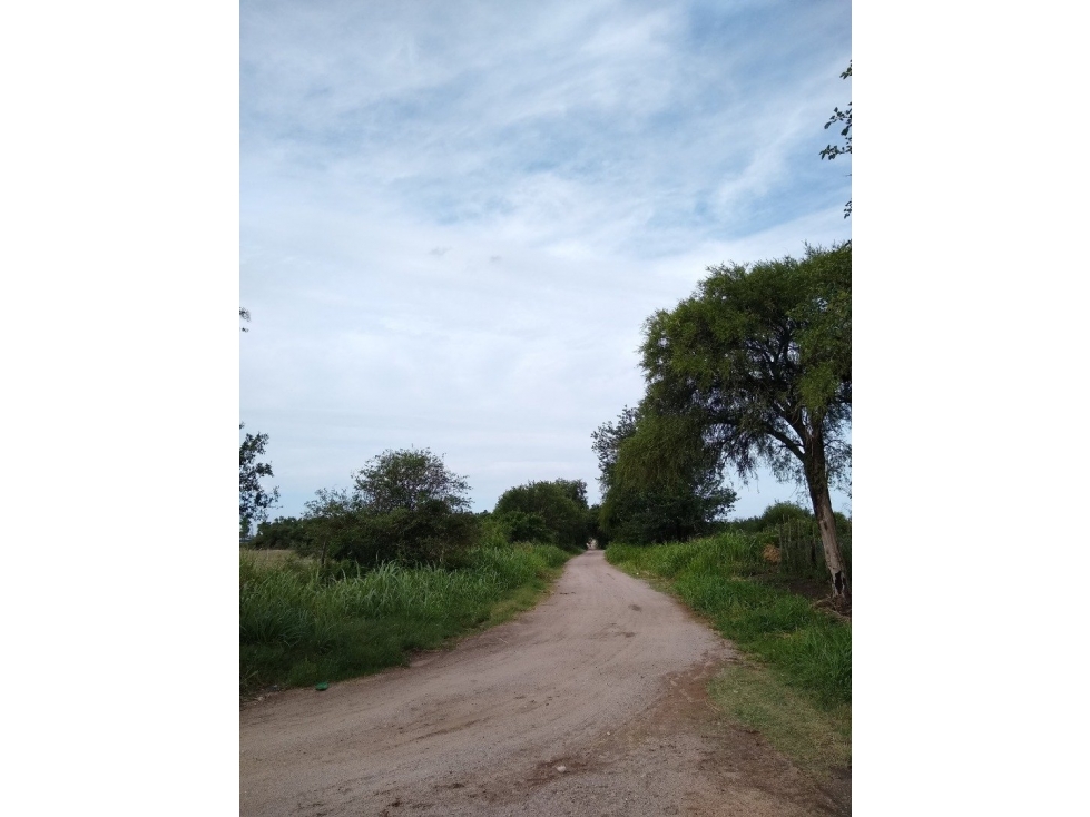 VENTA- 17.7 HECTAREAS- COLONIA CAROYA - 5