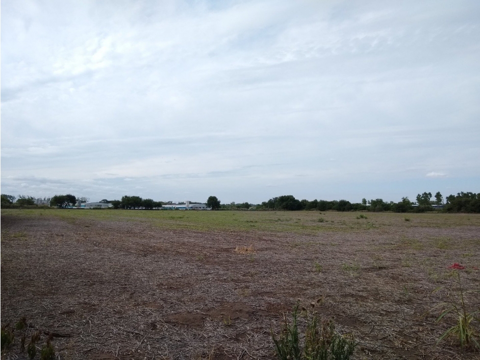 VENTA- 17.7 HECTAREAS- COLONIA CAROYA - 6