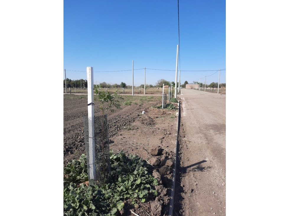 VENTA LOTES EN BARRIO LOS CEIBOS, JESÚS MARÍA - 5