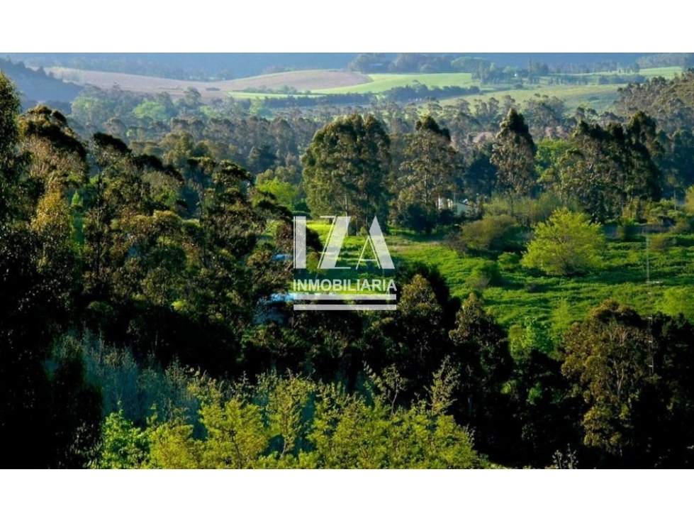 HERMOSO LOTE EN SIERRA DE LOS PADRES CON VISTA AL VALLE DE ENTRADA - 1