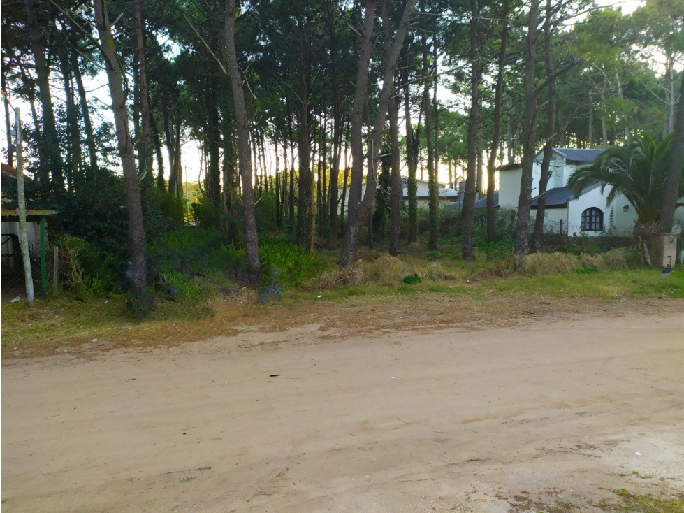 LOTE MULTIFAMILIAR — foto 3