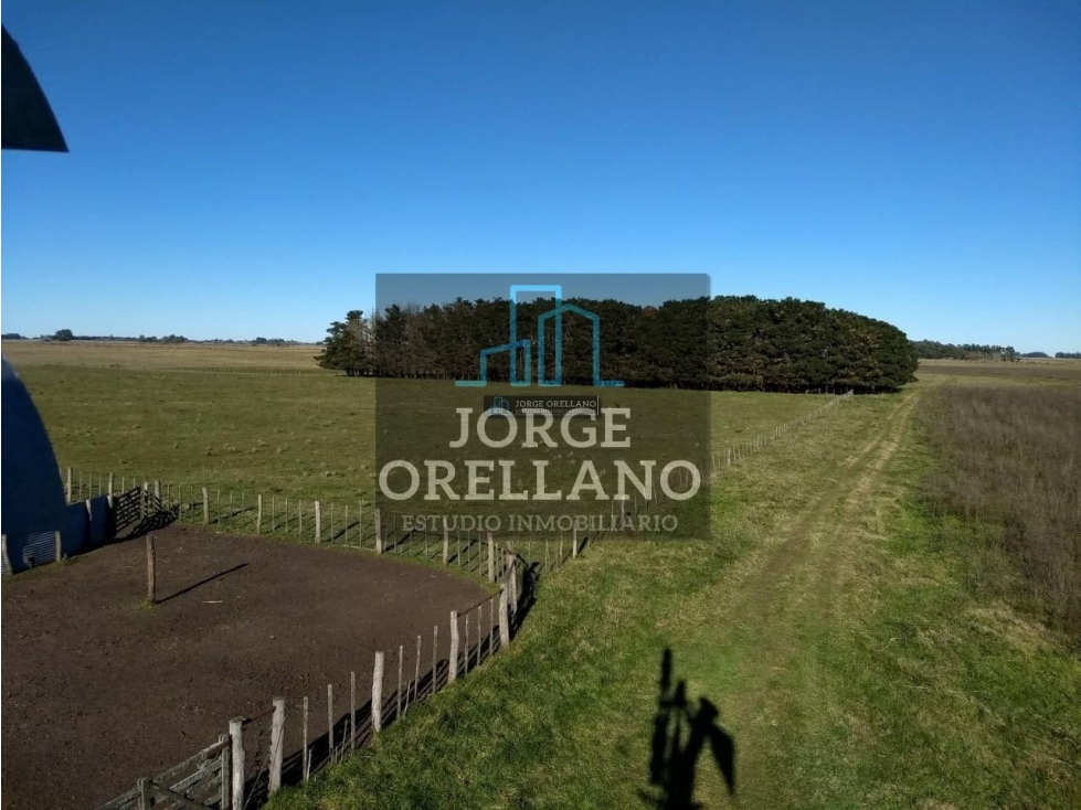 VENTA DE CAMPO EN CORONEL VIDAL 176 HAS PRODUCCION AGRICOLA Y GANADERA - 1