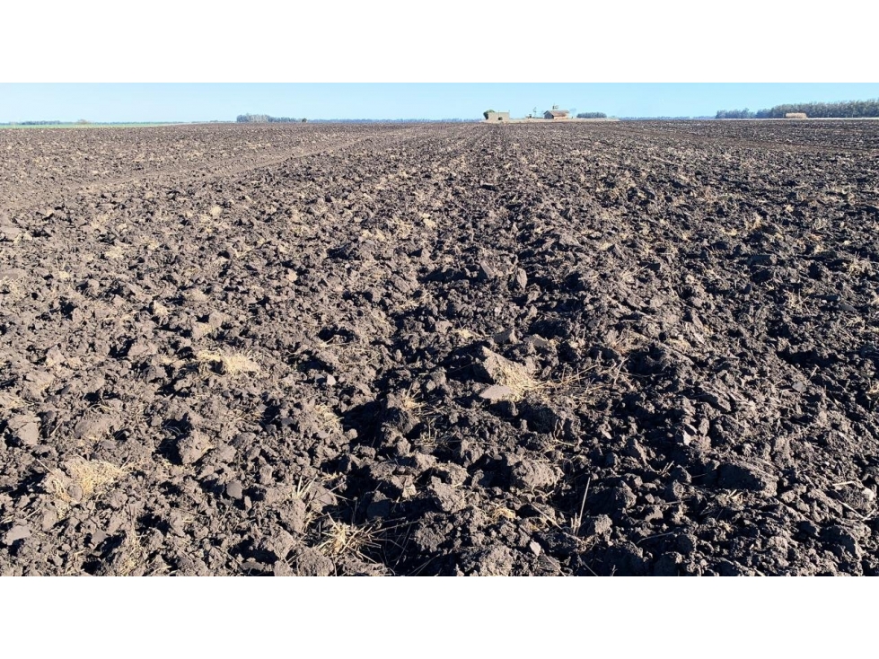 VENDO CAMPO AGRICOLA DE 157 HAS EN SAN CAYETANO - 1