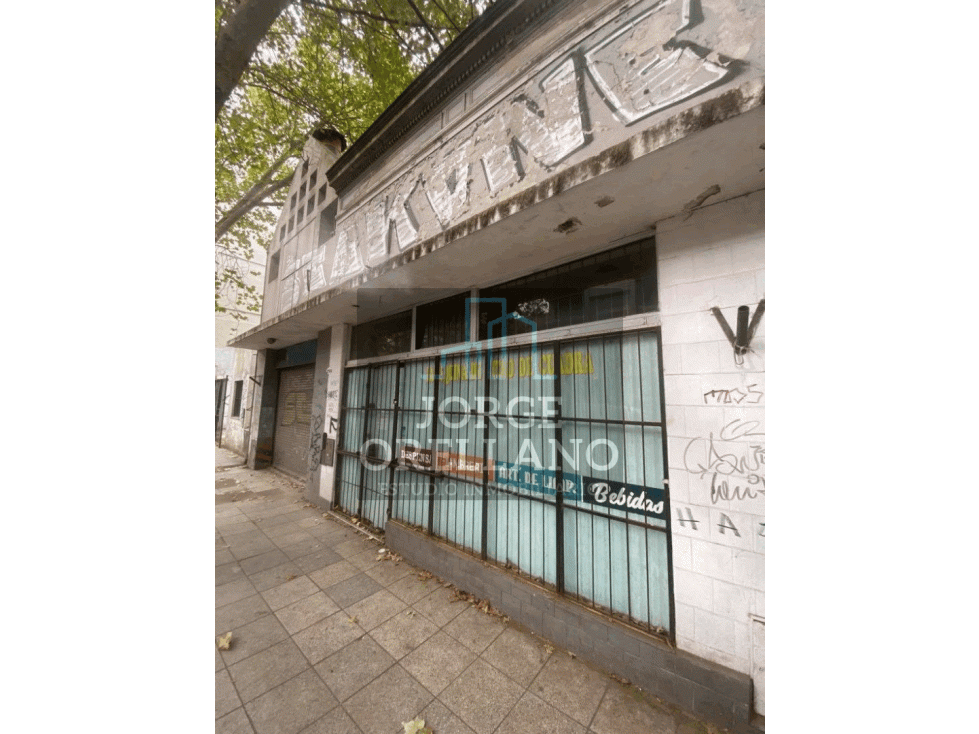 VENTA DE LOCAL COMERCIAL Y GALPON SOBRE LOTE DE 368m2 EN ZONA CENTRO - 1