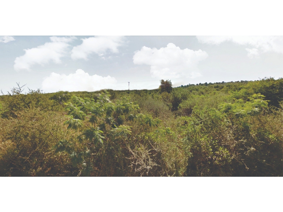 VENTA DE 4 HECTAREAS EN QUEBRADA DE LUNA - CAPILLA DEL MONTE - CORDOBA - 2