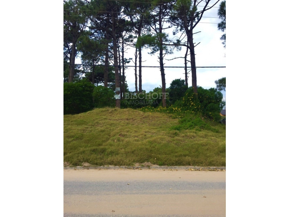 TERRENO SOBRE AVENIDA PRINCIPAL, EN ZONA SUR, VILLA GESELL - 2