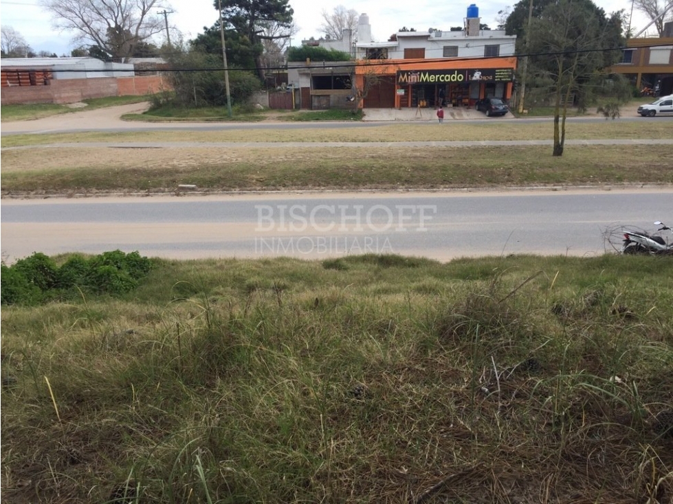 TERRENO SOBRE AVENIDA PRINCIPAL, EN ZONA SUR, VILLA GESELL - 4