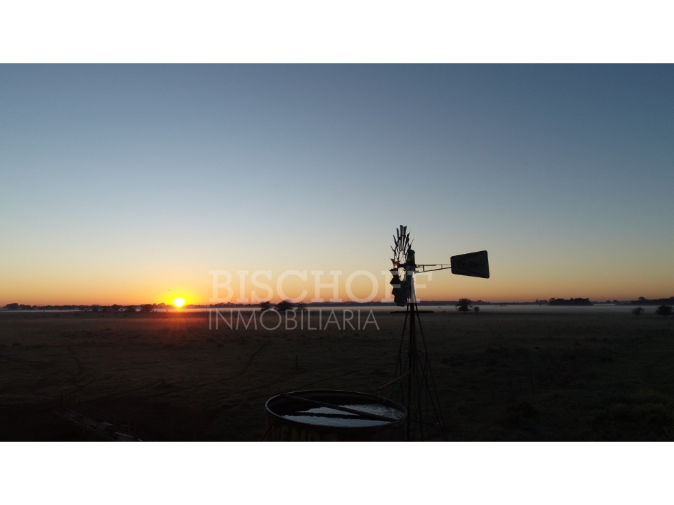EXCELENTES LOTES EN VENTA. UBICADO EN SAN VICENTE - 6