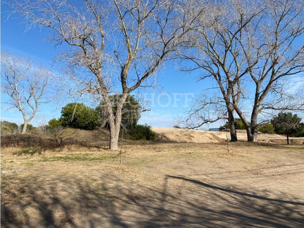 TERRENOS EN VENTA, SUR DE VILLA GESELL - 4