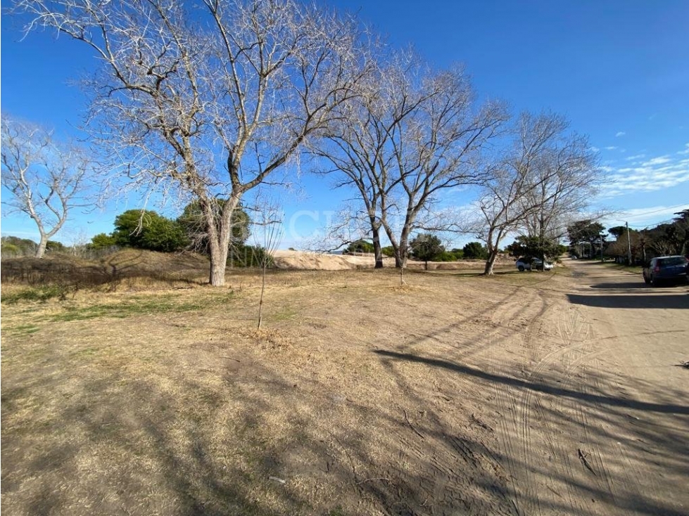 TERRENOS EN VENTA, SUR DE VILLA GESELL - 6