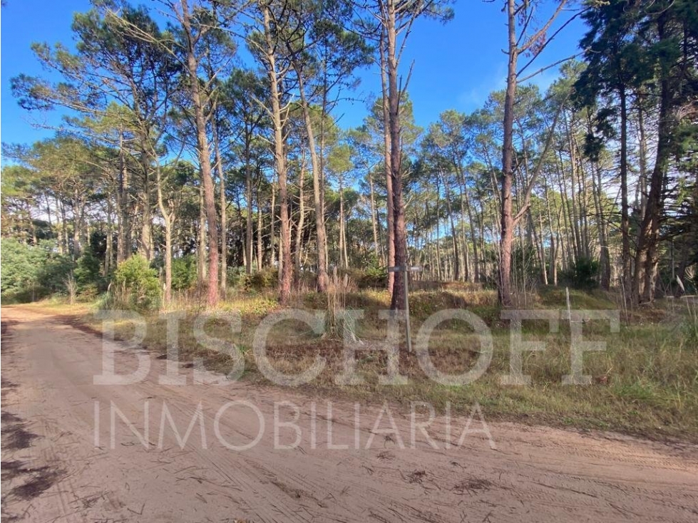 LOTE EN CARILO BARRIO ZORZAL CON PROYECTO Y PLANOS APROBADOS - 2