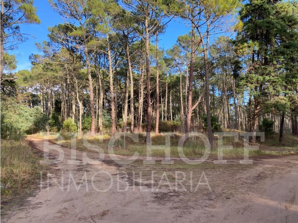 LOTE EN CARILO BARRIO ZORZAL CON PROYECTO Y PLANOS APROBADOS - 3