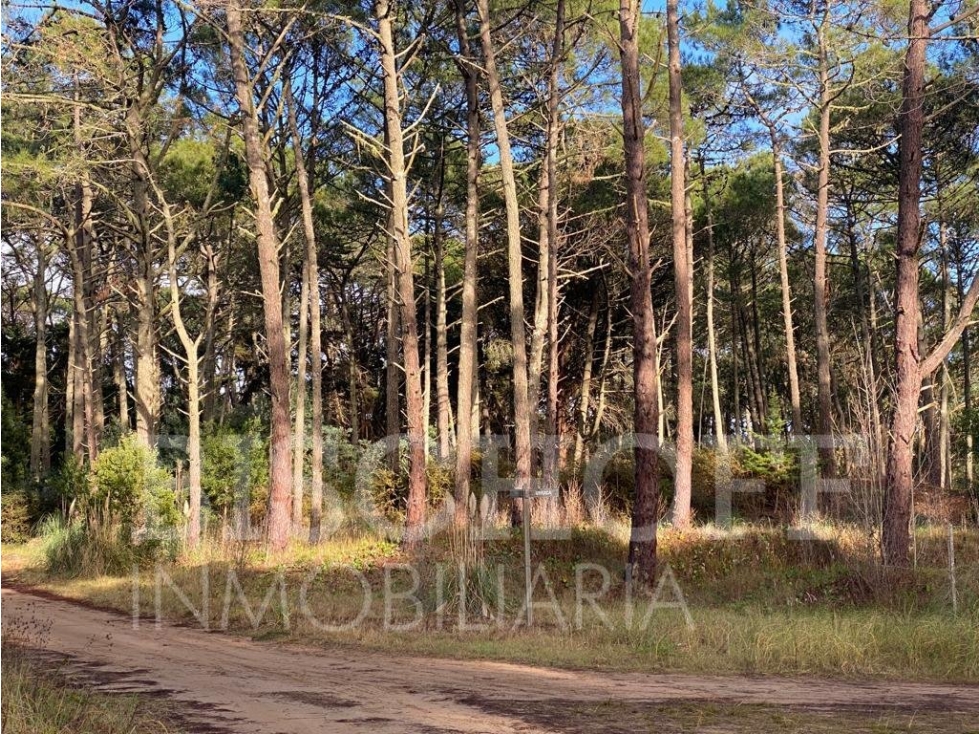 LOTE EN CARILO BARRIO ZORZAL CON PROYECTO Y PLANOS APROBADOS - 4