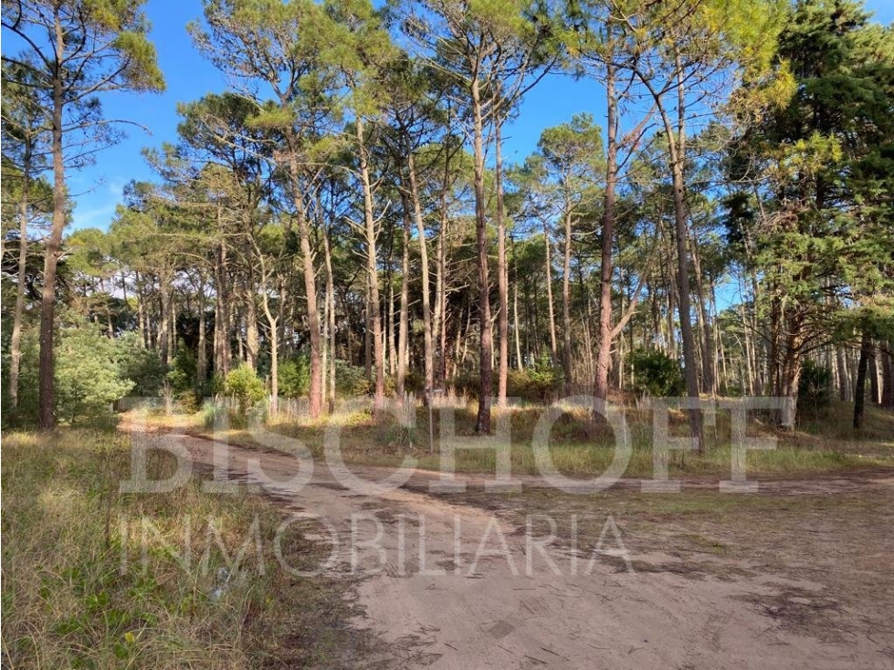LOTE EN CARILO BARRIO ZORZAL CON PROYECTO Y PLANOS APROBADOS - 6