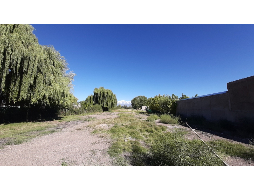 Terreno Sobre Acceso Sur en Perdriel - Lujan de Cuyo - 6