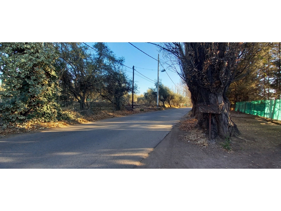 Lote Calle Edmundo Correas Chacras de Coria Lujan de Cuyo - 6