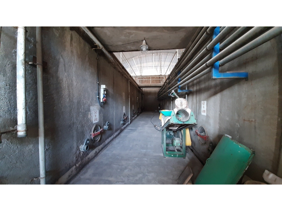 BODEGA Y VIÑEDOS EN VENTA EN MENDOZA - 4