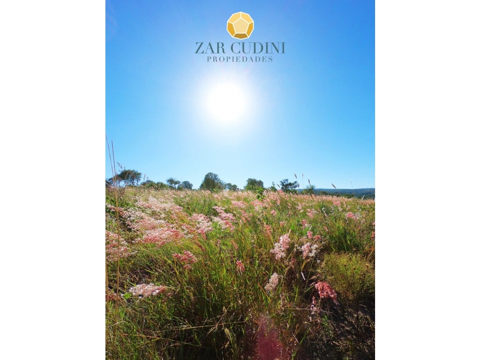 VENTA LOTE CÓRDOBA TANTI BARRIO CERRADO CHACRAS DE LA PRIMAVERA - 2