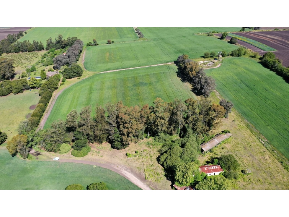 ALQUILER 70 HECTAREAS EN BATAN — foto 3