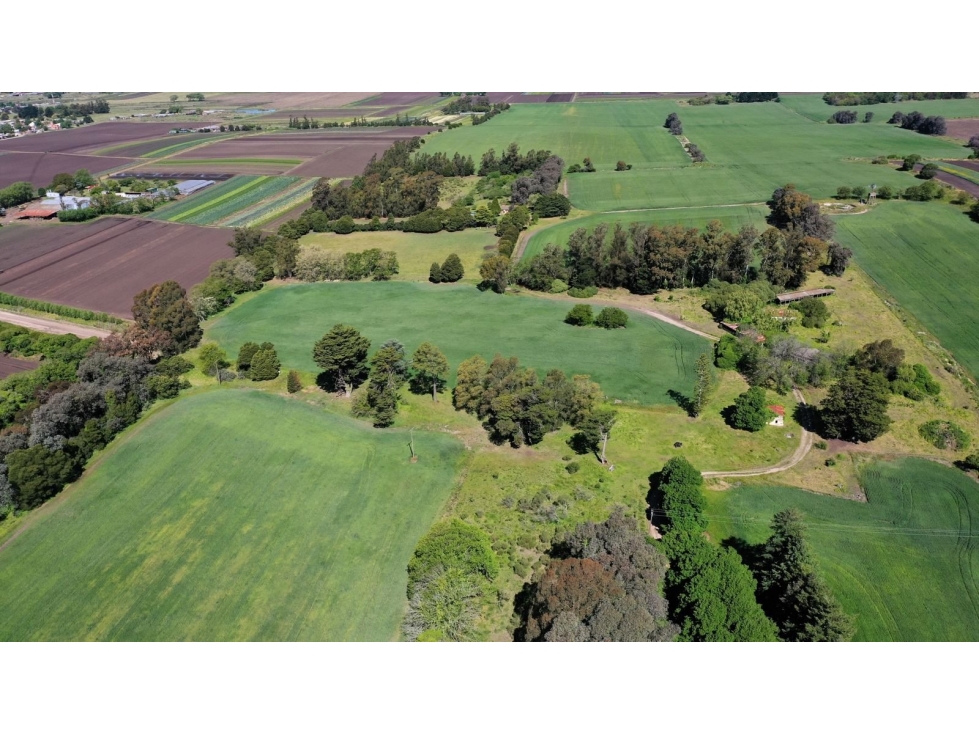 ALQUILER 70 HECTAREAS EN BATAN — foto 6