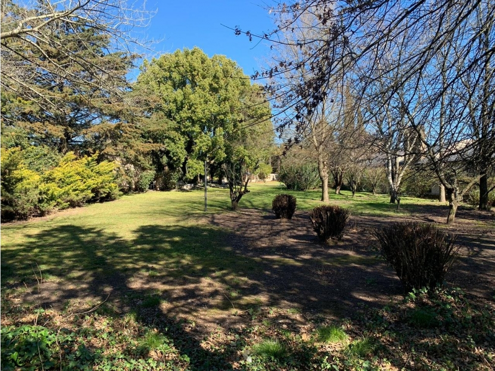 LOTE (Calle 51 e/ 32 y 34) - 3