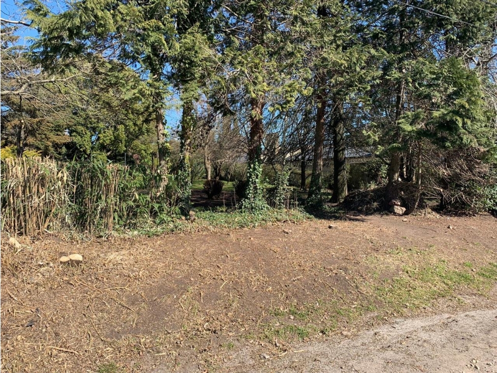 LOTE (Calle 51 e/ 32 y 34) - 4