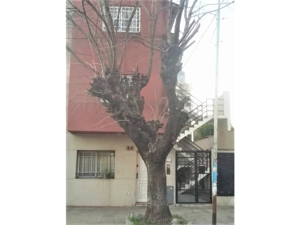DEPARTAMENTO 1 AMBIENTE