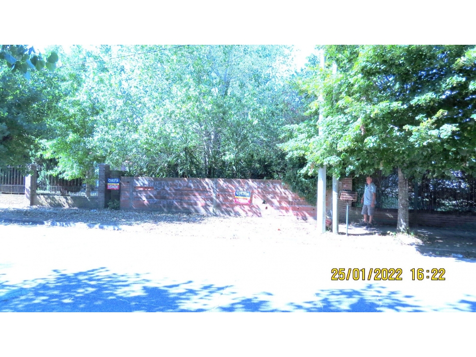LOTE ZONA NORTE - 4