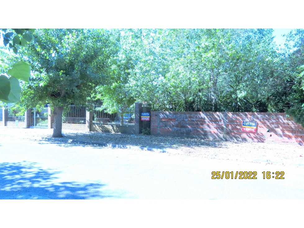 LOTE ZONA NORTE - 5