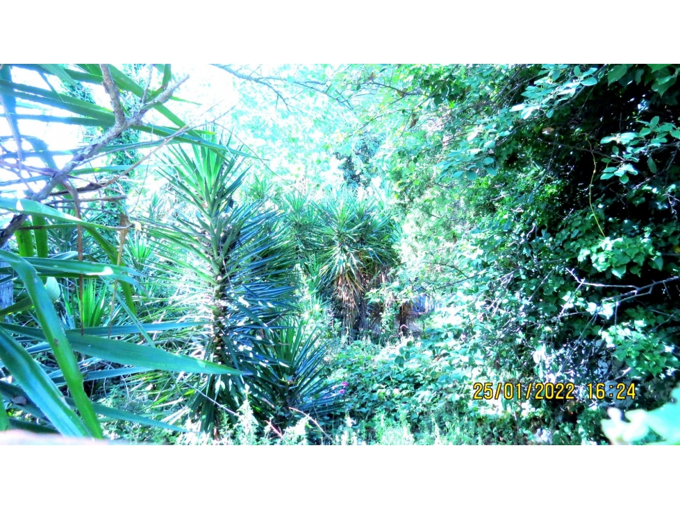 LOTE ZONA NORTE - 6