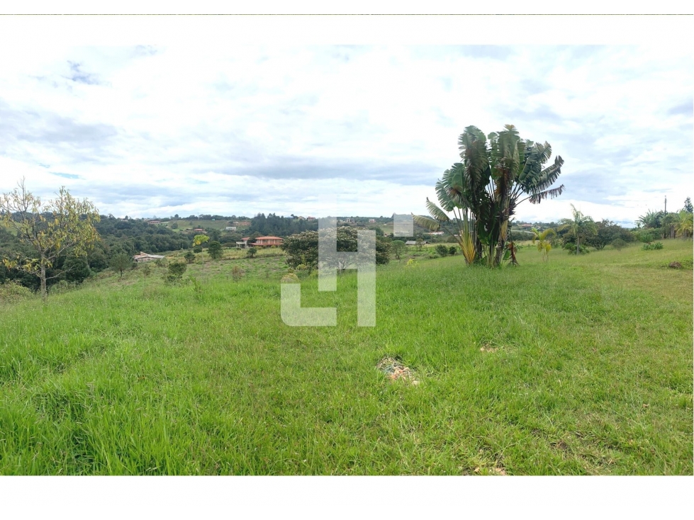 VENDO FINCA COLINDA CON RIO BLANCO (1.5 HECTAREAS) - 4