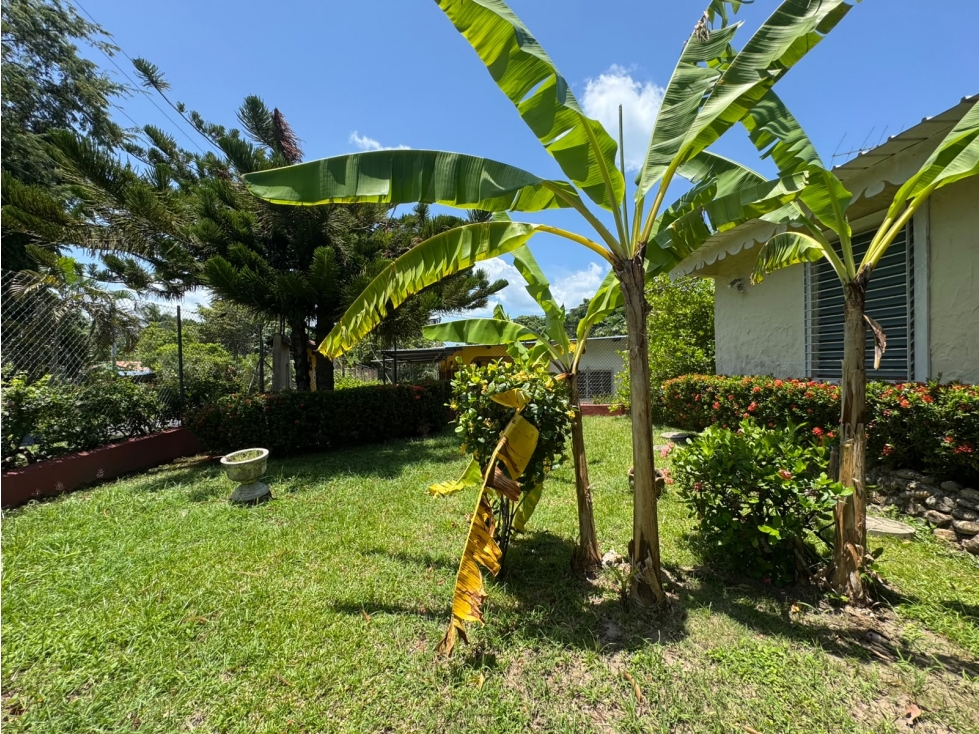 VENDO CASA EN SAN CARLOS VIVE CAMINANDO SAN CARLOS — foto 6