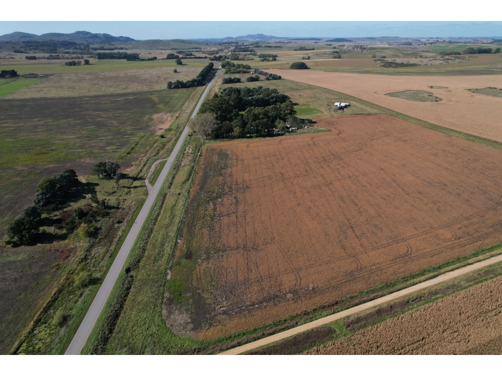 EN VENTA TERRENOS 11600 METROS ZONA RURAL TANDIL - 5