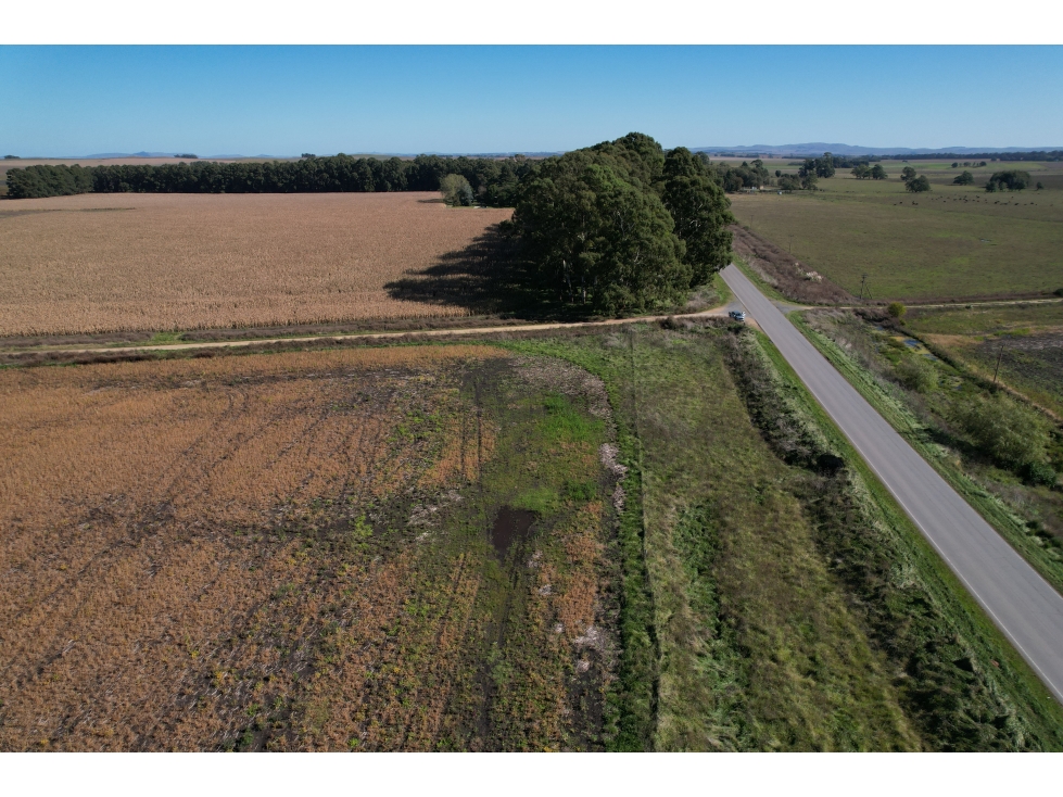 EN VENTA TERRENOS 11600 METROS ZONA RURAL TANDIL - 6