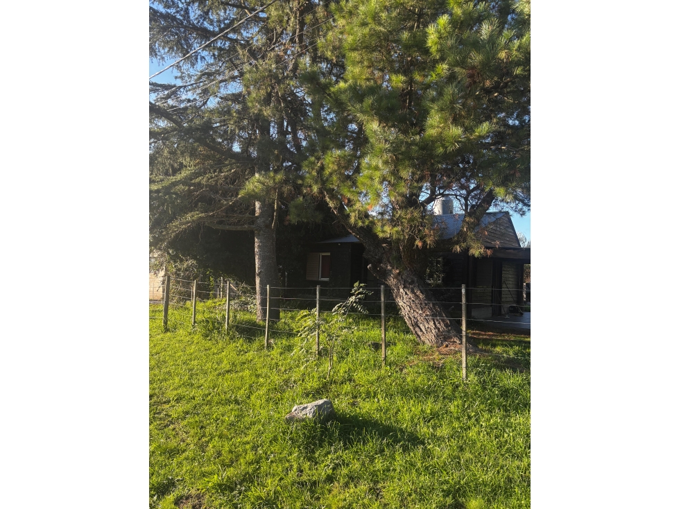 LOTE EN VENTA CON CABAÑA ZONA EL PARAISO TANDIL - 3