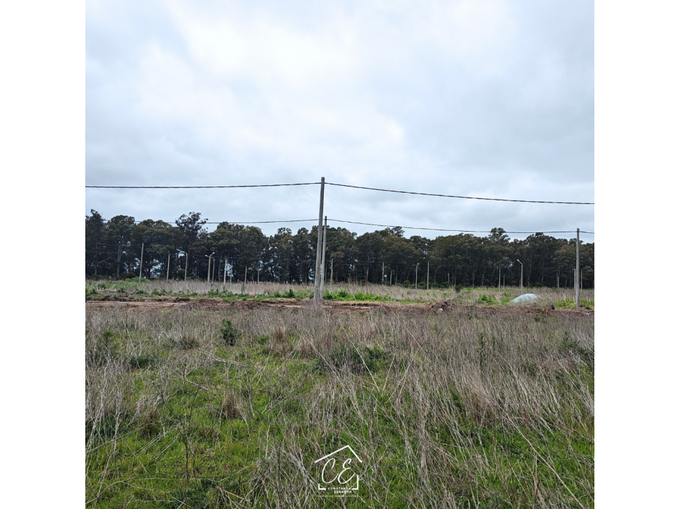LOTE EN VENTA - LA BLANCA Y AV. ACTIS - ZONA PALERMO - 3