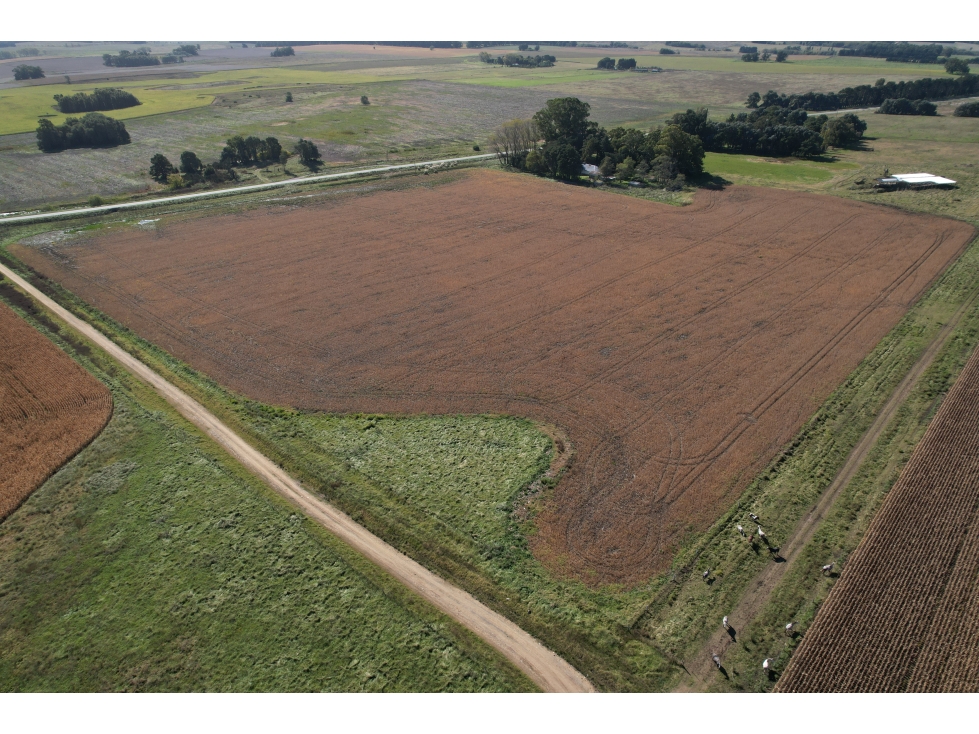 EN VENTA TERRENOS 11600 METROS ZONA RURAL TANDIL - 4