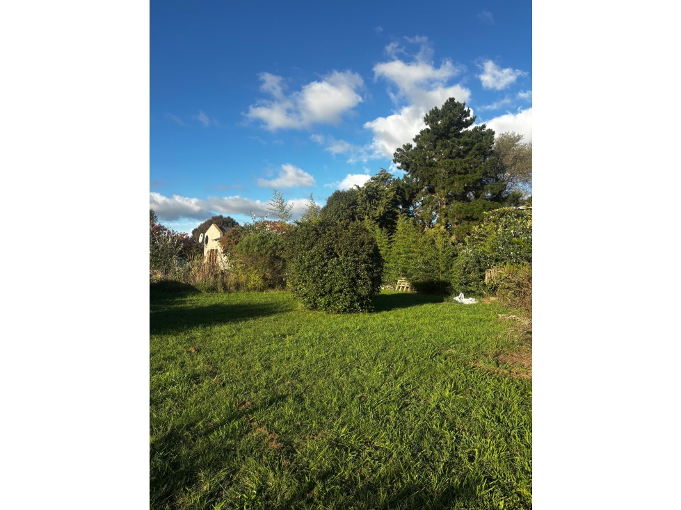 LOTE EN VENTA CON CABAÑA ZONA EL PARAISO TANDIL - 6