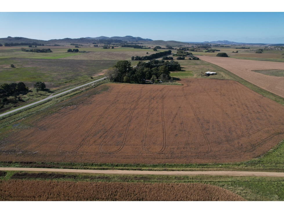 EN VENTA TERRENOS 11600 METROS ZONA RURAL TANDIL - 2
