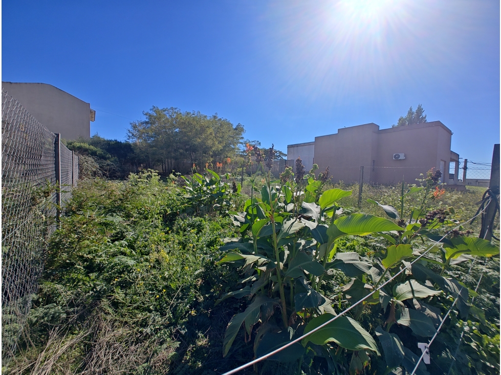 LOTE EN VENTA - ZONA PUNTO TANDIL / PARAISO TANDIL - 3